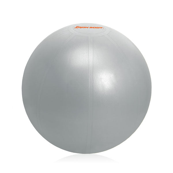Exercise Ball (65 cm) | Anti-Burst 1000lb Capacity | Pump Included | Iron Body
