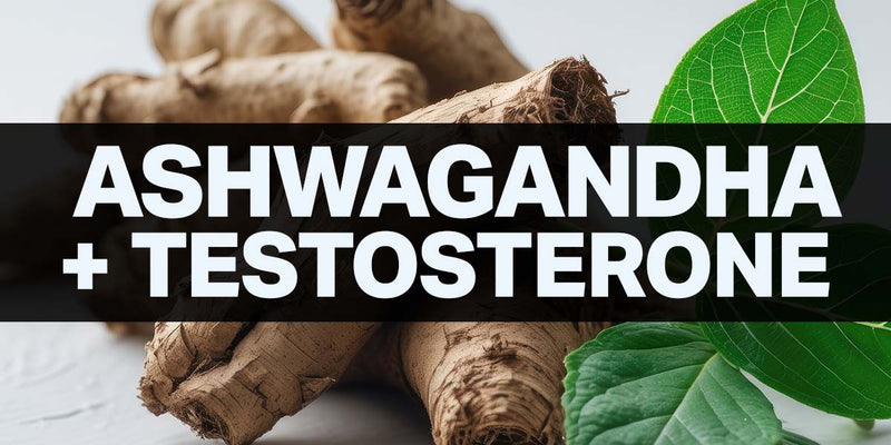 New Research on Ashwagandha and Testosterone