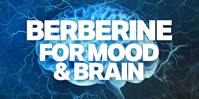 Berberine for Mood & Brain: Promising New Research