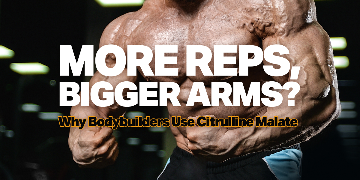 acetyl l-carnitine bodybuilding How to Use L-Carnitine for Maximum Fat Burning