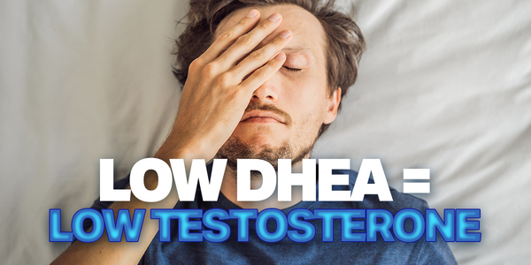 Low DHEA = Low Testosterone: Why Your Hormones Need Support From Both Sides