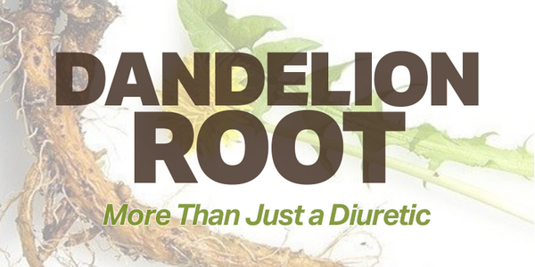 Dandelion Root, More Than Just a Diuretic