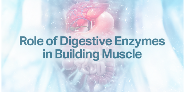 Role of Digestive Enzymes in Building Muscle