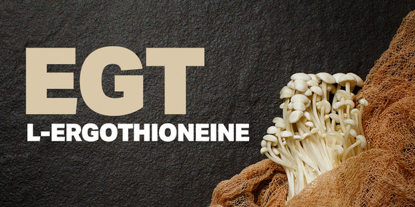 L-Ergothioneine (EGT): What It Is, Where It’s Found, and Why It’s Getting So Much Buzz