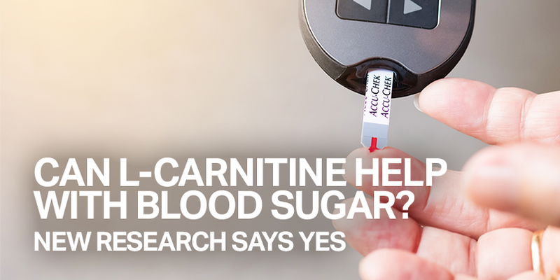 L-Carnitine for Blood Sugar Support Improve Insulin Sensitivity Naturally L-Carnitine for Blood Sugar Support Improve Insulin Sensitivity Naturally
