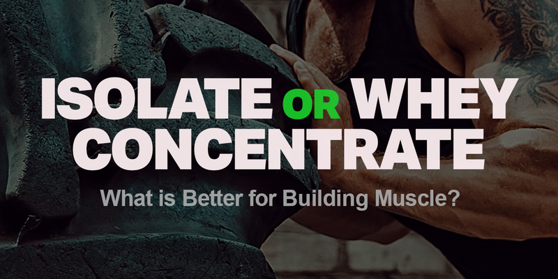 Isolate or Whey Concentrate - What is Better for Building Muscle?