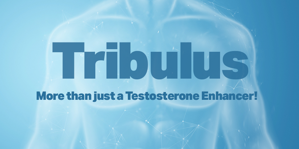 Tribulus - More than just a Testosterone Enhancer!
