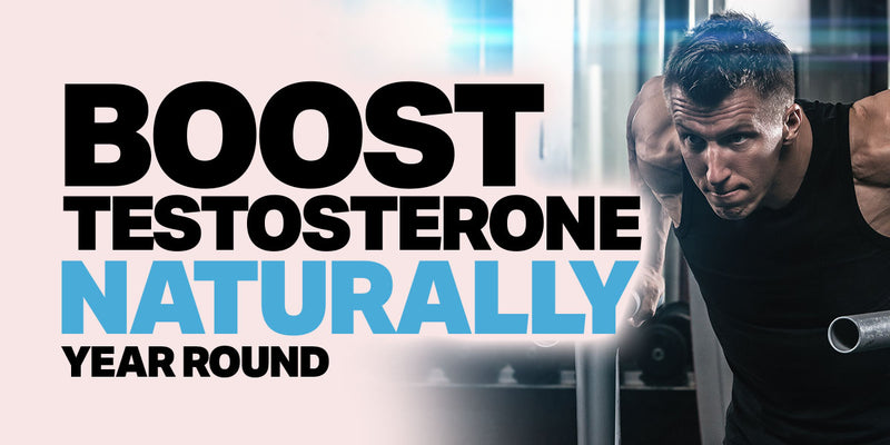 How to boost testosterone naturally year round
