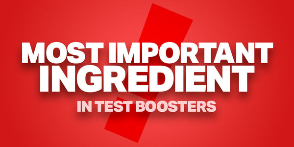 Primavie - Most Important Ingredient in Test Boosters