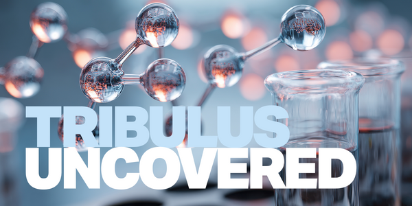 Tribulus Uncovered: From Testosterone Myth to Sexual Health Breakthrough