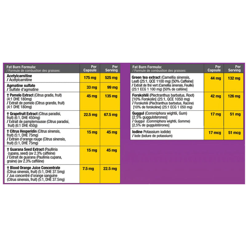 Athletic Alliance | AcetyLEAN (90 Caps)