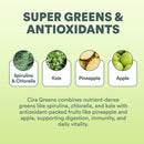 Illustration of super greens and antioxidants with images and text on a green background