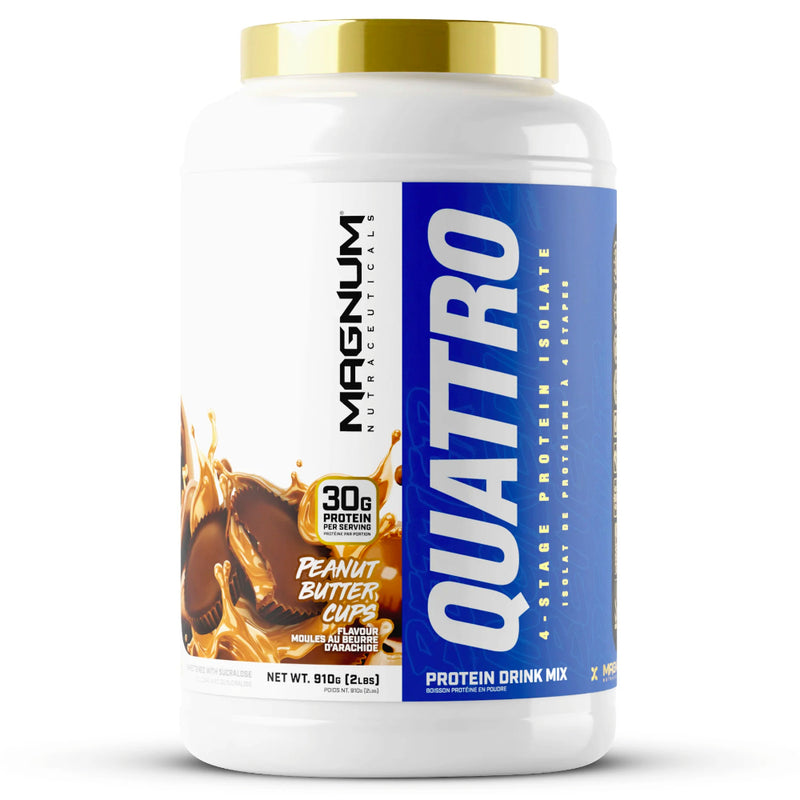 Buy Now! Magnum Nutraceuticals Quattro (2 lbs) chocolate peanut butter cups. Every scoop of Magnum Quattro delivers 30 grams of protein through four absorption stages, contributing to a sustained positive nitrogen balance for up to six hours.