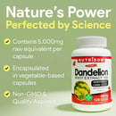 NUTRIDOM Dandelion Root Extract bottle with product details on a green background