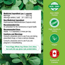Product information card for Moringa capsules on a green leaf background, with a white label showing ingredient details and a green side panel featuring Non-GMO Tested, GMP, Vegan, and Product of Canada badges.