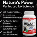 NUTRIDOM Himalayan Shilajit supplement bottle with product details on a black background
