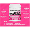 PVL | PRO H2O Rapid Hydration Electrolytes (30 Servings)