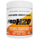 PVL | PRO H2O Rapid Hydration Electrolytes (30 Servings)