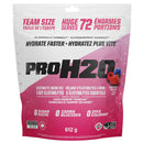 A 612 g stand-up pouch of ProH20 Berry Blast electrolyte drink mix. The packaging is white and pink with bold black and pink text, featuring illustrations of a berry and fruit slices on the berry flavor graphic.