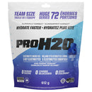 A 612 g bag of ProH20 Electrolyte Drink Mix in Arctic Blue flavor. The packaging is white, light blue, and dark blue, featuring the brand name 'PROH20' in large black letters and 'Arctic Blue' in a circular logo on the right.
