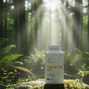 Vital Life Coenzyme Q10 supplement bottle in a forest setting