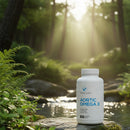 Vital Life Aortic Omega 3 supplement bottle on a rock with a forest background