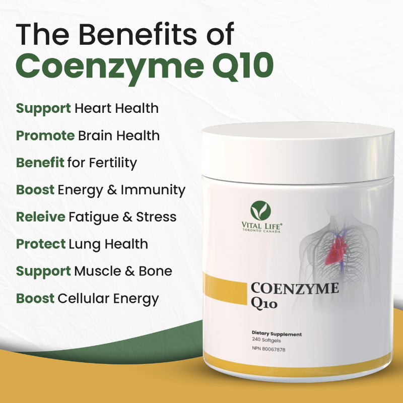 Vital Life | CoEnzyme Q10 (CoQ10) 100 mg (240 Softgels)