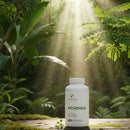Vital Life Moringa supplement bottle on a wooden surface with a forest background