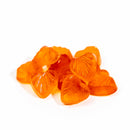 Herbaland | Prebiotic Fiber (60 Gummies)